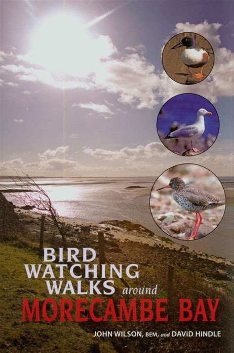 Birdwatching Walks Around Morecambe Bay | NHBS Academic & Professional ...