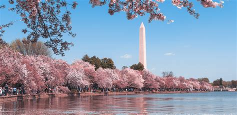 Experience: Spring at The Jefferson | The Jefferson, DC