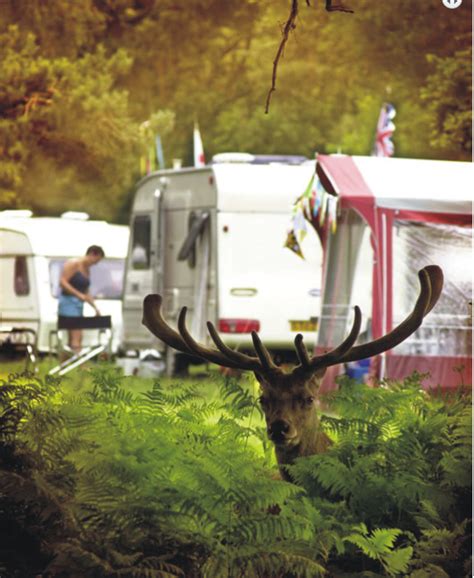 Wellington Country Park • Camping & Caravanning UK