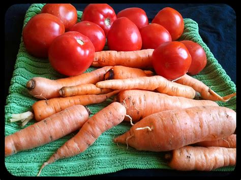 Earth and Space News: Carrots Love Tomatoes: Carrot Companion Planting