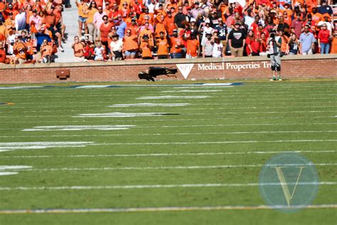 Photos: Auburn hosts Georgia in Jordan Hare - Valley Times-News ...