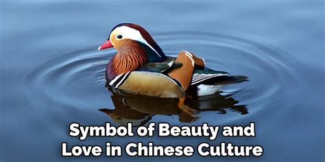 Mandarin Duck Spiritual Meaning, Symbolism and Totem (2025)