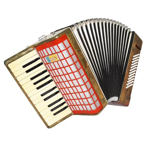 Lightweight Russian Piano Accordion Yunost Beginner Children - Etsy