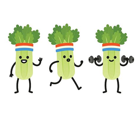 Celery Clip Art, Vector Images & Illustrations - iStock