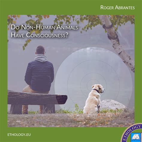 Do Non-Human Animals Have Consciousness? - By Roger Abrantes