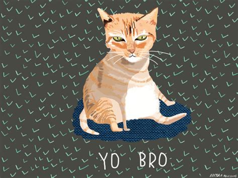 Yo Bro Funny Cat Card Cc104 - Etsy