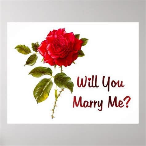 Marry Me Poster | Zazzle