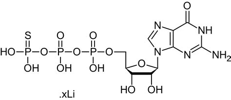 GTP-gamma-S, G-protein-activating GTP analog (CAS 94825-44-2) (ab146662 ...