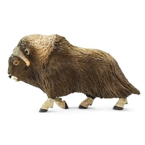 Wild Safari North American Wildlife Muskox Safari Ltd Animal Toy Figure - Walmart.com