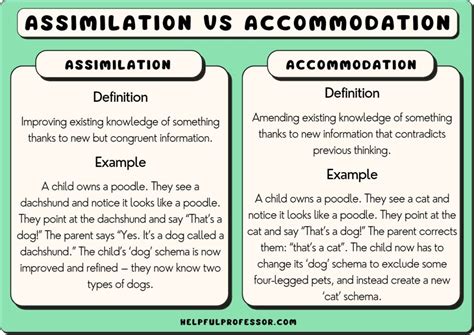 15 Examples of Assimilation in Psychology (2024)