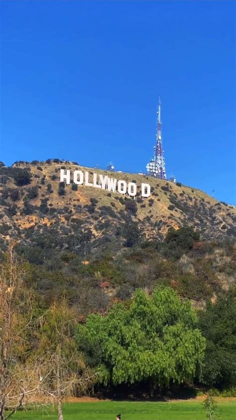 Best view of The Hollywood Sign ever: An immersive guide by Alexis Murphy