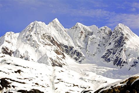 Snowy Alaskan Mountains Photograph by Randy Bradley