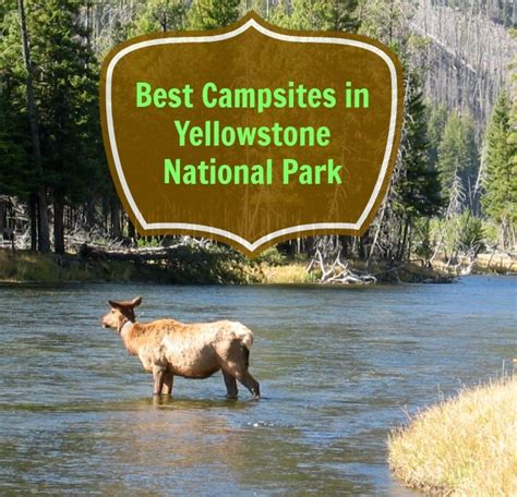 Best Campsites in Yellowstone National Park