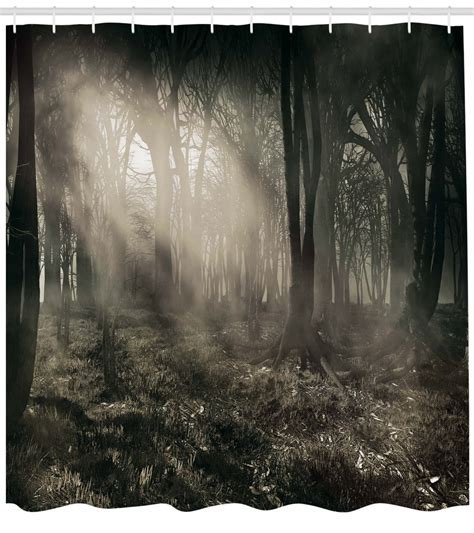 Gothic Decor Photo Of Dark Forest Scenery With Sunbeams And Fog Vintage ...