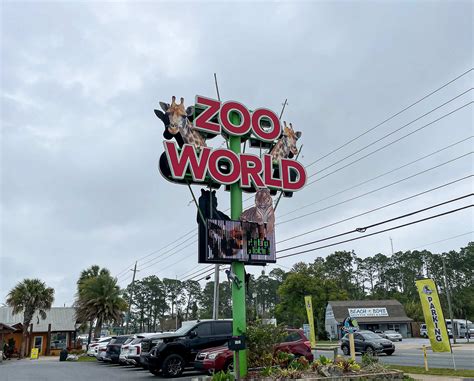 Experience the Best of Nature at Zoo World in Panama City Beach