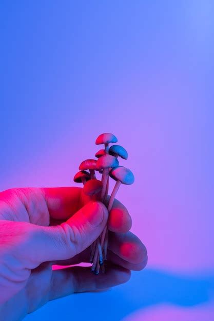 Premium Photo | Psilocybin mushrooms