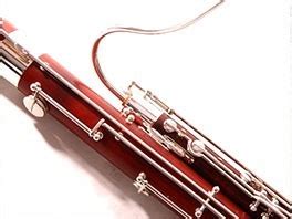 Bassoon Lessons