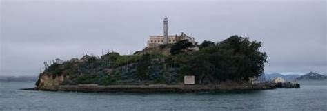 Grassy Knoll Institute: Alcatraz Pier 33 Cafe Sandwich