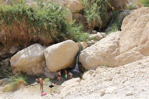 En Gedi Nature Reserve - Israel Nature and Parks Authority