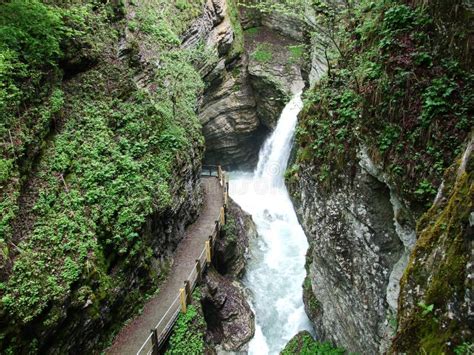 Thur Waterfalls in Unterwasser Stock Photo - Image of green, nature ...