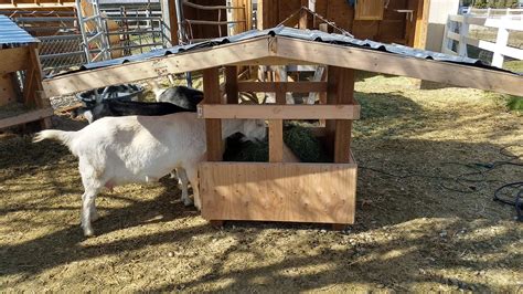 How to build a feeder for goats with horns. The best low waste feeder.