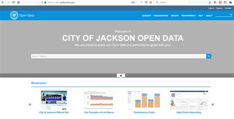 Jackson Jambalaya: Jackson Launches Data Portal