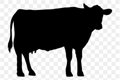 Dairy cow png silhouette, cattle | Premium PNG - rawpixel