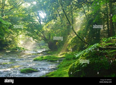 Kikuchi Gorge, Kumamoto Prefecture, Japan Stock Photo - Alamy