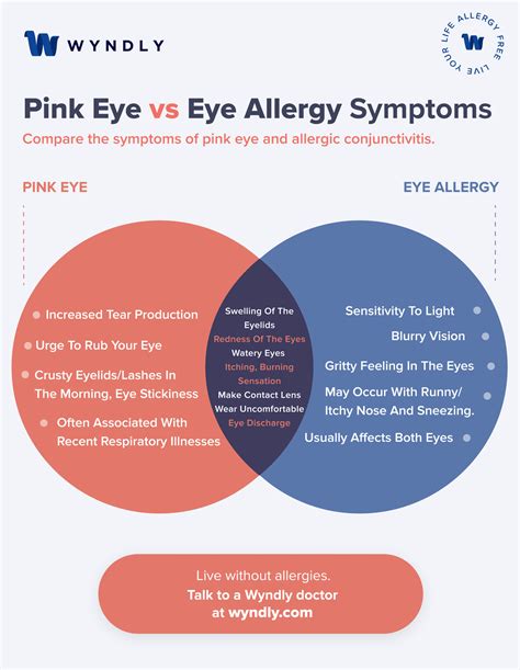 7 Ways to Know if You Have Pink Eye or an Eye Allergy (2024) & Wyndly