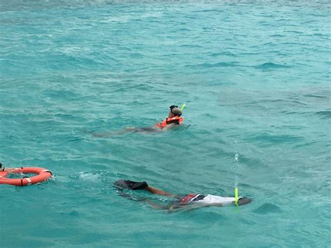 Isla Contoy: Snorkeling at Ixlache Reef & Eco-paradise Tour - Cancun ...