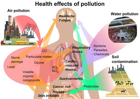 Effects of Air Pollution on Human Health and Environment