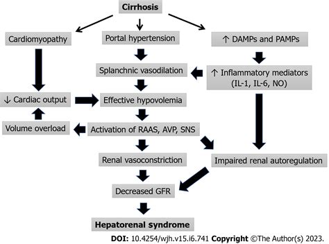 Recent advances in pathophysiology, diagnosis and management of ...