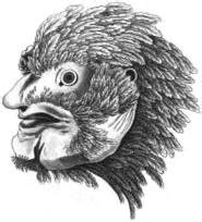 Human-chicken hybrids - Descriptions of two living specimens