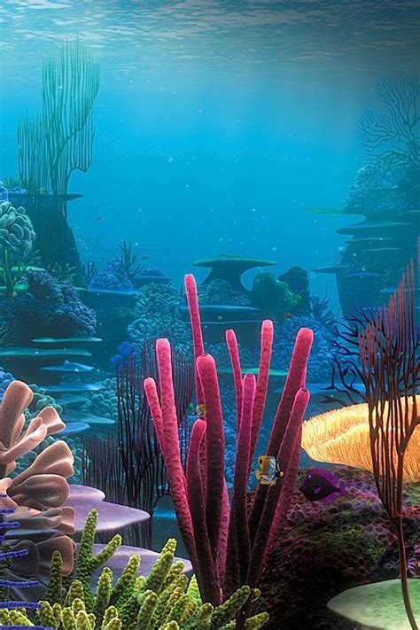 Coral Reef Wallpaper Iphone