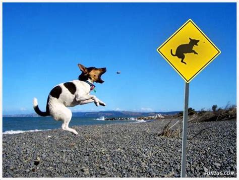 Colours of Life...: Funny Animals Signs At Various Places