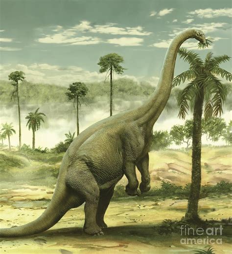 Apatosaurus Feeding On The Leaves by Jan Sovak | Prehistoric world ...