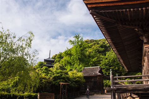 Why You Should Consider Visiting Japan in May