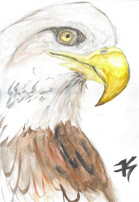 Watercolor Eagle by RaccoonStripes on DeviantArt