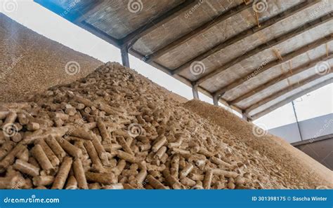 Organized Biomass: Wood Pellets Warehouse Display Stock Illustration - Illustration of ...