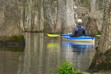 Chicot State Park for paddle and hiking adventure | The Heart of Louisiana