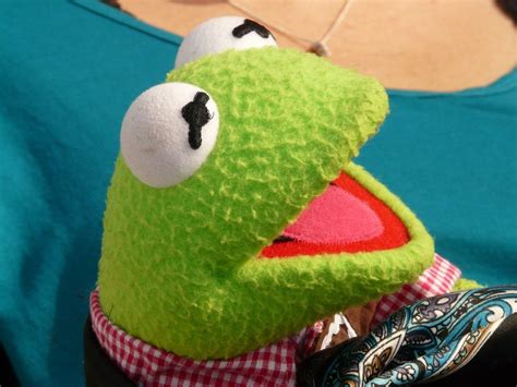 Kermit frog green doll free image download
