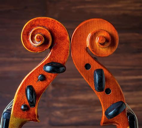 Two Violin Scrolls Photograph by Garry Gay