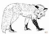 Fox Printable Coloring Pages sketch template