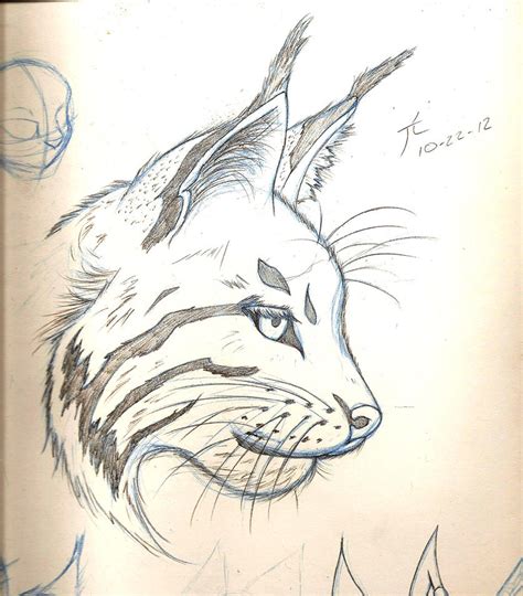 Lynx Sketch by Sogaroth on DeviantArt