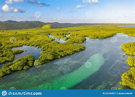 Anavilhanas Archipelago, Flooded Amazonia Forest in Negro River ...