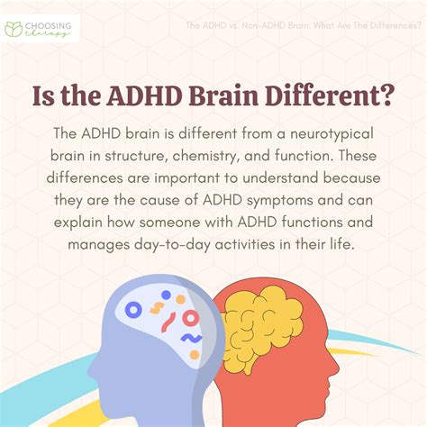 ADHD Brain Vs. Normal Brain: Differences Explained