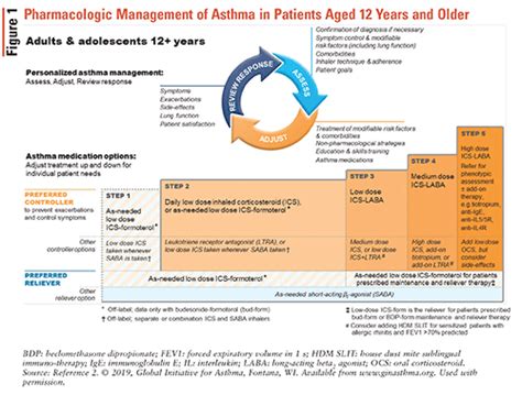 Asthma Symptoms In Adults