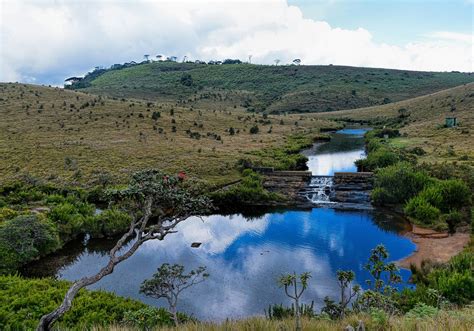 Horton Plains Trekking Tours | Horton Plains Trekking Trips | Trekking tours in Horton Plains ...