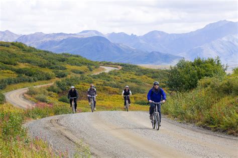 Independent Activities | Denali National Park Alaska