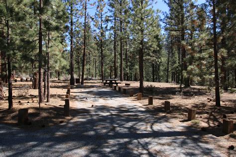 Heart Bar Campsite | Campsite, Big bear lake, Camping guide